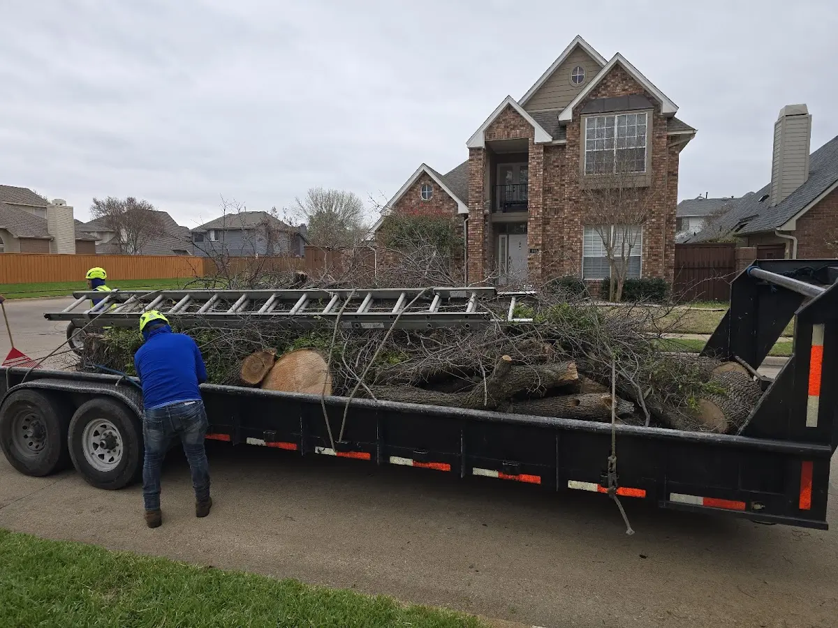 Expert Tree Fertilization with proper safety equipment in Ribera